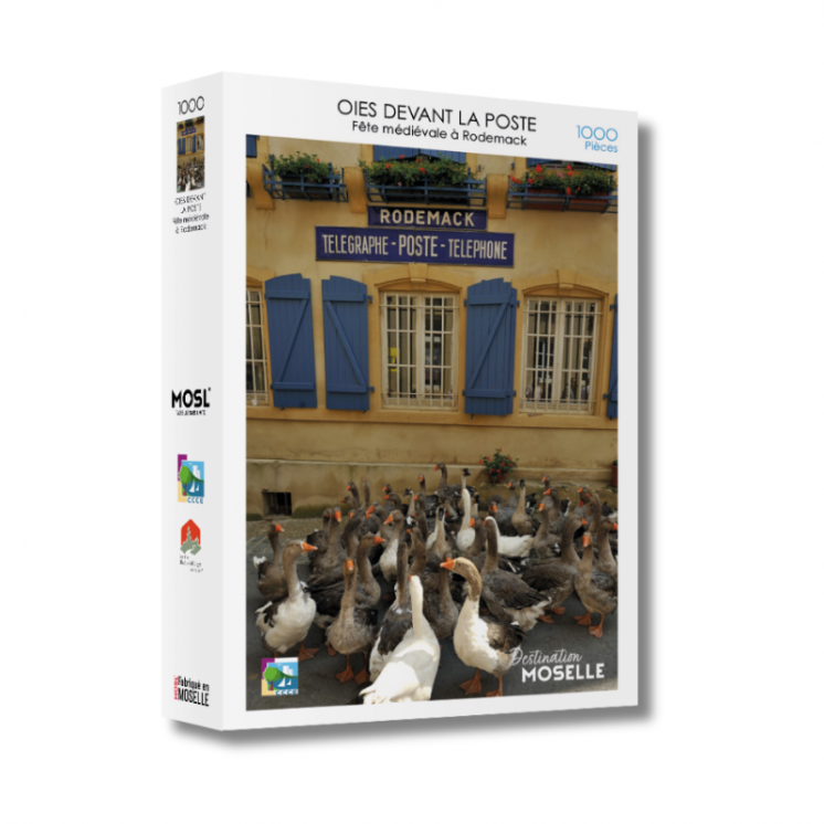 Goose puzzle in front of the post office Rodemack - Puzzles | MOSL