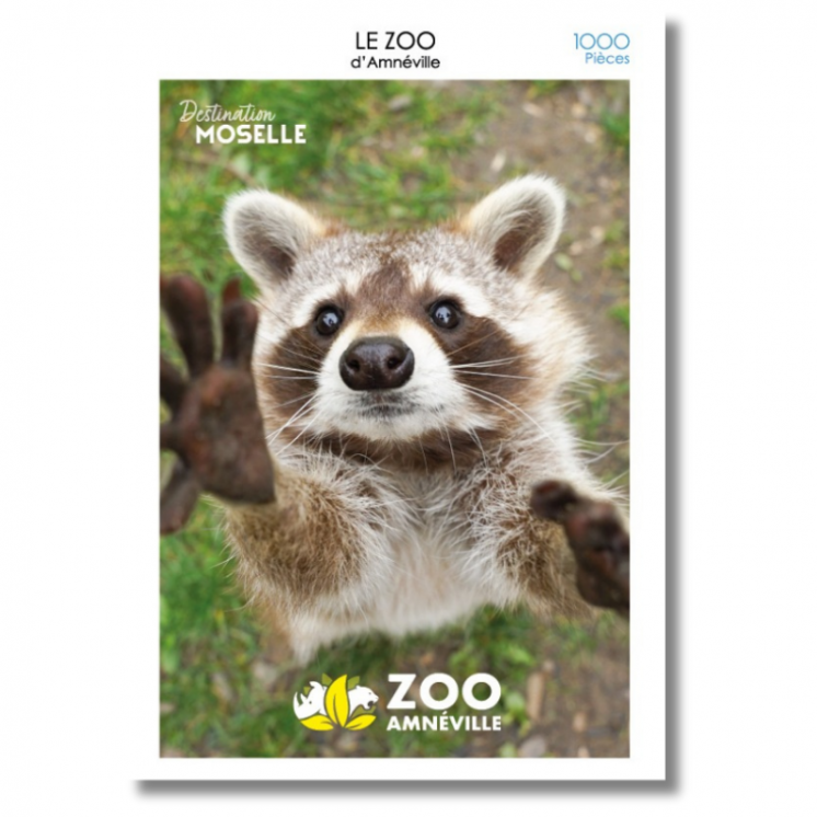 Puzzle Raccoon Zoo - Puzzles | MOSL