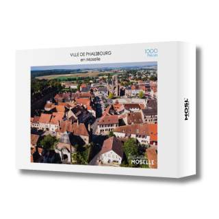 Puzzle Stadt Phalsbourg - Puzzles | MOSL