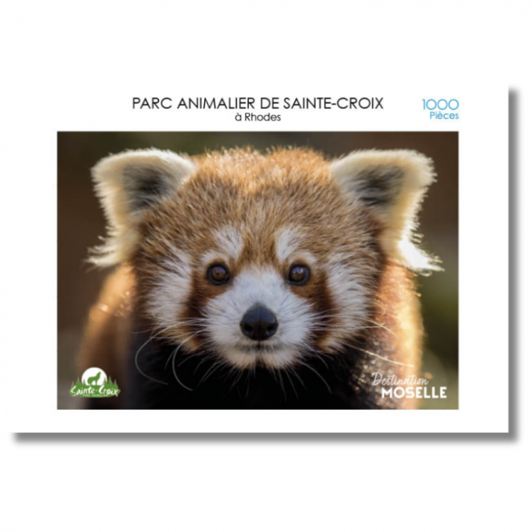 Panda-Puzzle im Tierpark von Sainte-Croix - Puzzles | MOSL