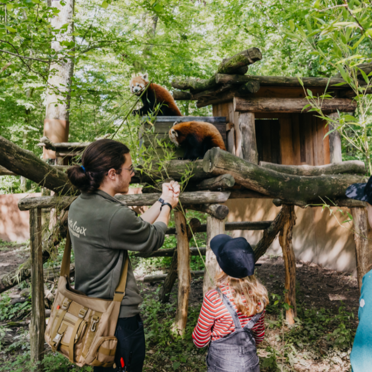 One-Day Escape Box Moselle – New 2025 Edition | MOSL