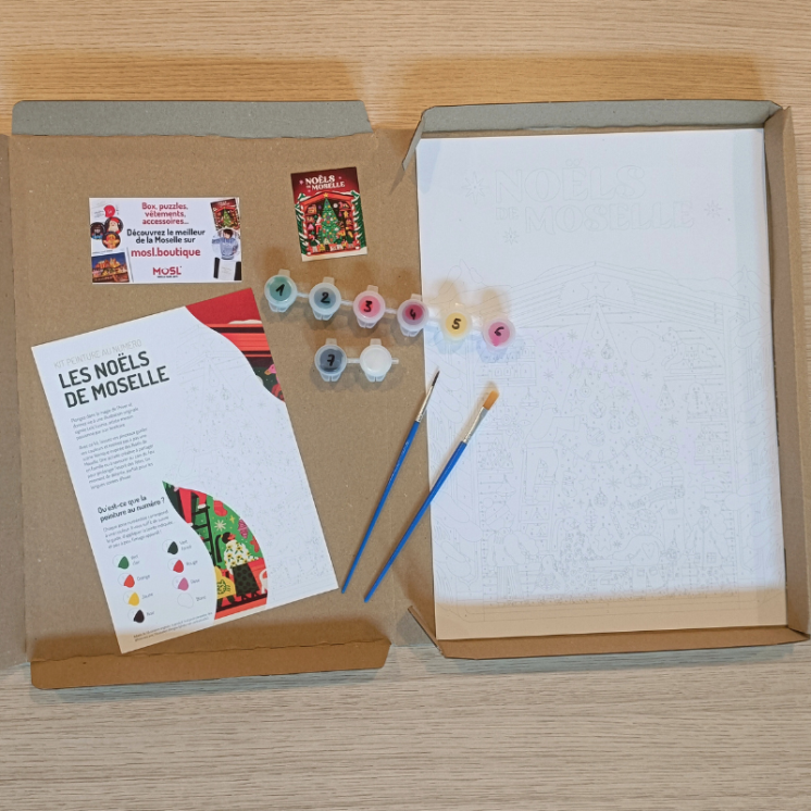 Paint by Numbers Kit | MOSL